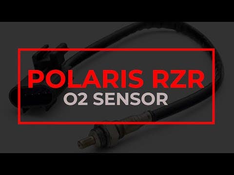 Up & Running Polaris General O2 Sensor